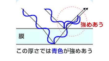 青く見える部分の膜の厚さでは、外側と内側で反射した青色の波長同士が重なって強められている。