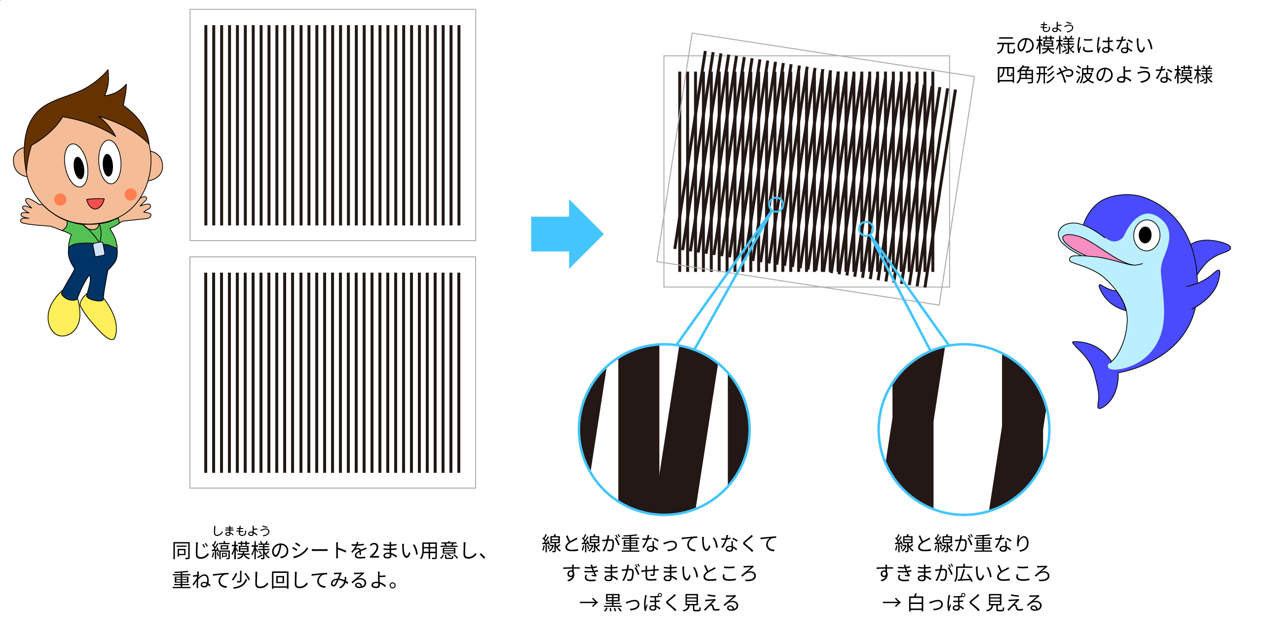 【美品】モアレ分析システム（モアレ着付） モアレ」をつくってみよう | キッズアイランド | Nikon 企業情報