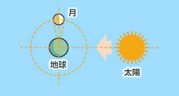 太陽、地球の直線と直角の位置に月がきたときが半月。