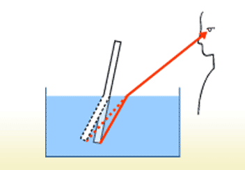 ストローから目までの間に水と空気があると、光が水と空気の境目で折れ曲がって目に届く。