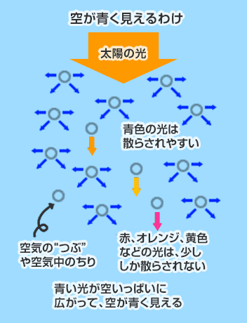 太陽の光が空気のつぶやちりにぶつかると、青色の光は空いっぱいにちらばる性質があるが、赤、オレンジ、黄色などの光は少ししか散らされない性質のため、空は青く見える。