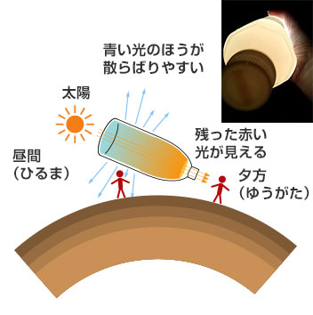 懐中電灯の光が太陽の光の役割で、青っぽく見えるペットボトルの底側が昼間の空。オレンジっぽく見えるペットボトルの口側が夕方の空と同じ仕組み。