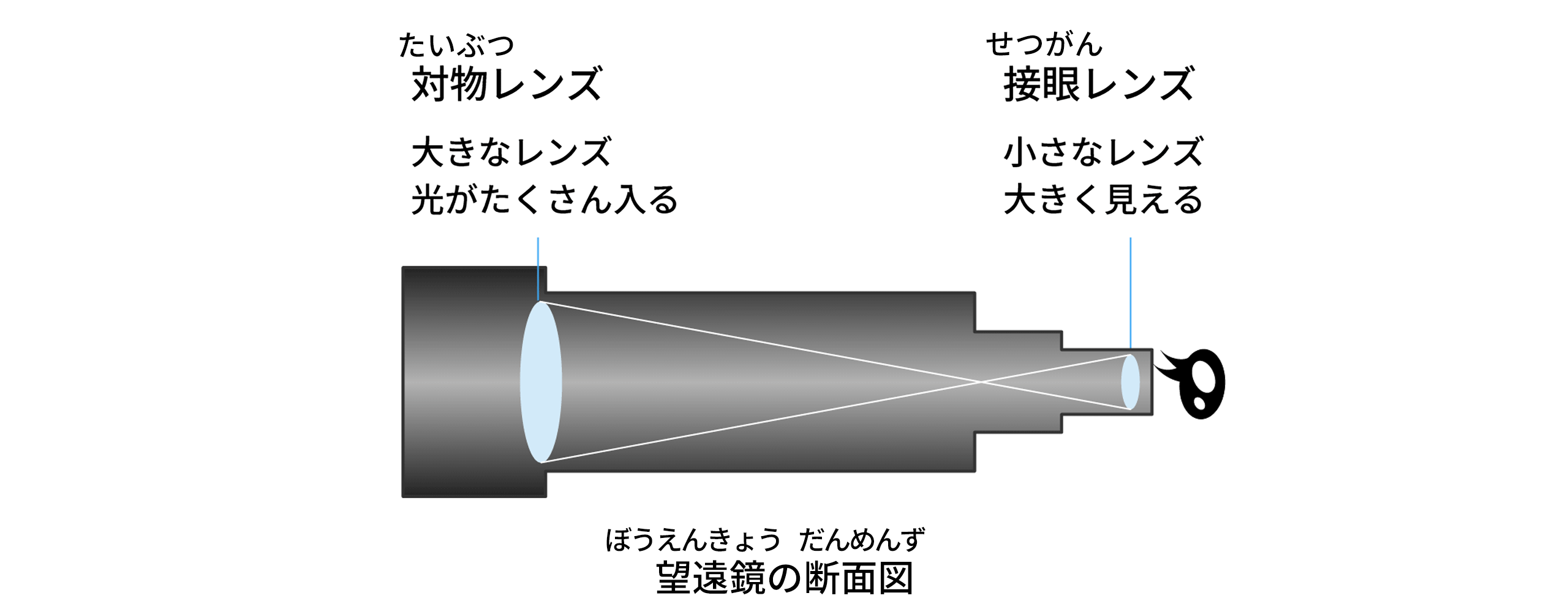 対物レンズ　接眼レンズ