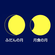 ふだんの月の欠け方はレモンのような形、月食の月の欠け方は端っこをかじられたような形。