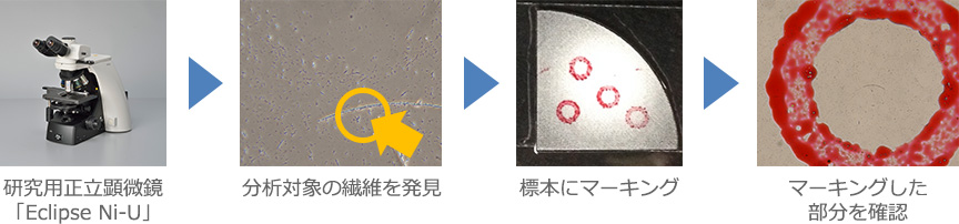 1.研究用正立顕微鏡「Eclipse Ni-U」 2.分析対象の繊維を発見 3.標本にマーキング 4.マーキングした部分を確認