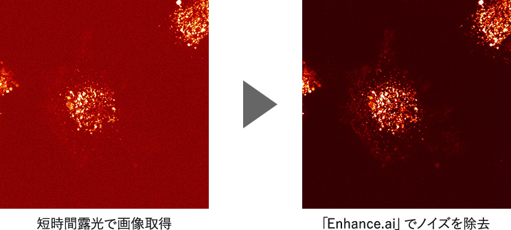 短時間露光で画像取得→「Enhance.ai」でノイズを除去