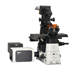 レーザー顕微鏡システムの画像