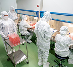 細胞受託開発・生産サービスの画像