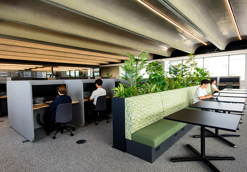 フォーカスエリア