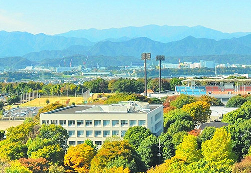 オフィス近くの展望塔からの風景