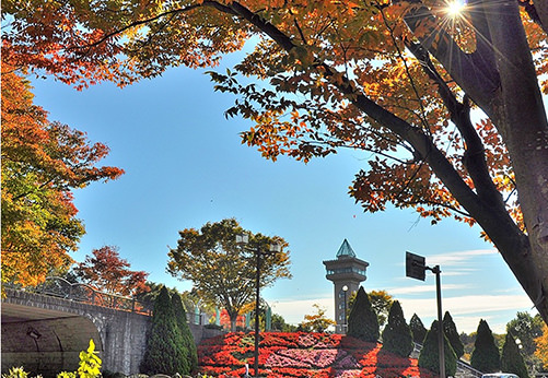 市立公園の展望台からの風景