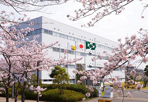 横須賀製作所の桜並木