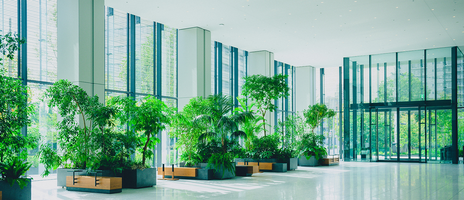 本社オフィスロビー風景