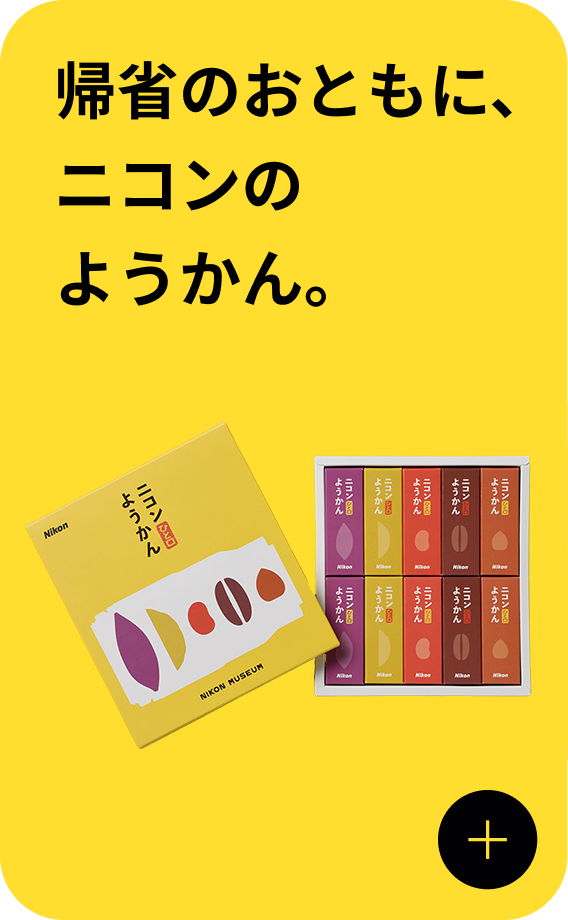 帰省のおともに、ニコンのようかん。