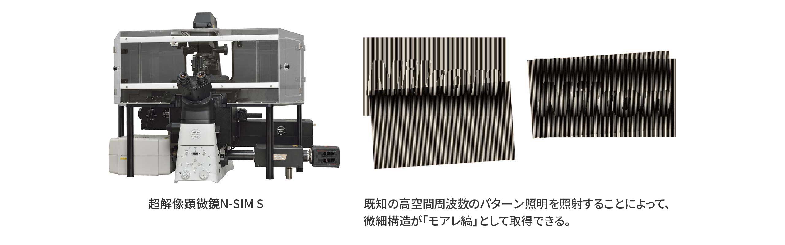 既知の高空間周波数のパターン照明を照射することによって、微細構造が「モアレ縞」として取得できる。