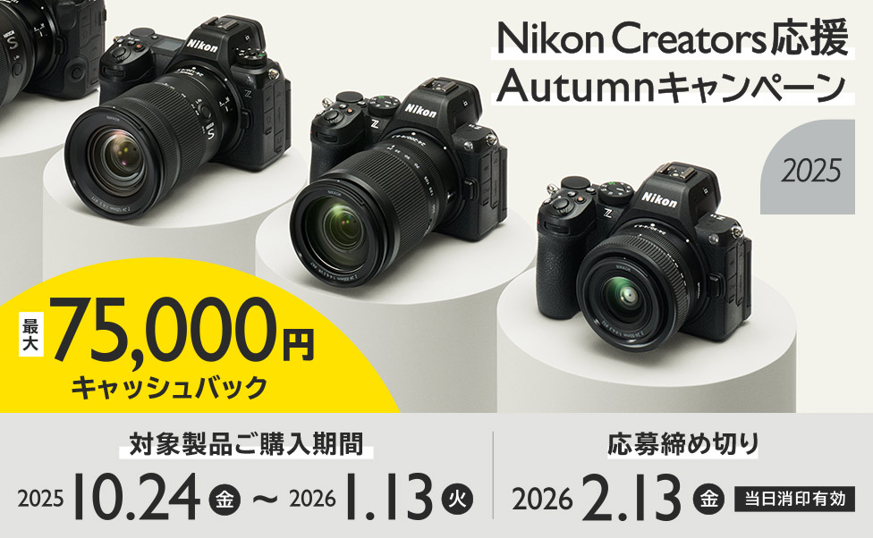 野球撮影に❤️レンズ3本付フルサイズ一眼❤️iPhoneに写真転送OKニコンD700 Nikon 【フルサイズ】【望遠】FXフォーマット用ズームレンズ